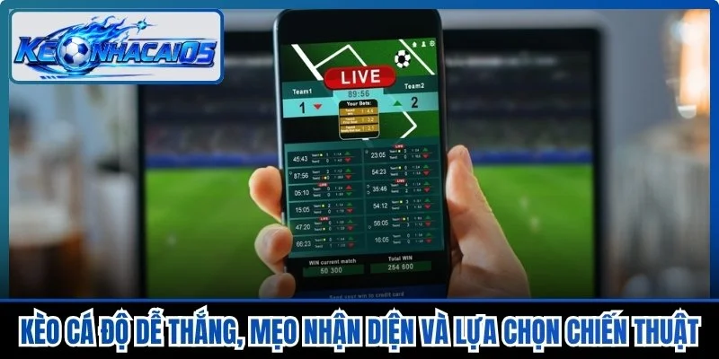 Kèo Cá Độ Dễ Thắng, Mẹo Nhận Diện Và Lựa Chọn Chiến Thuật