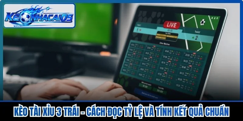 Kèo Tài Xỉu 3 Trái - Cách Đọc Tỷ Lệ Và Tính Kết Quả Chuẩn